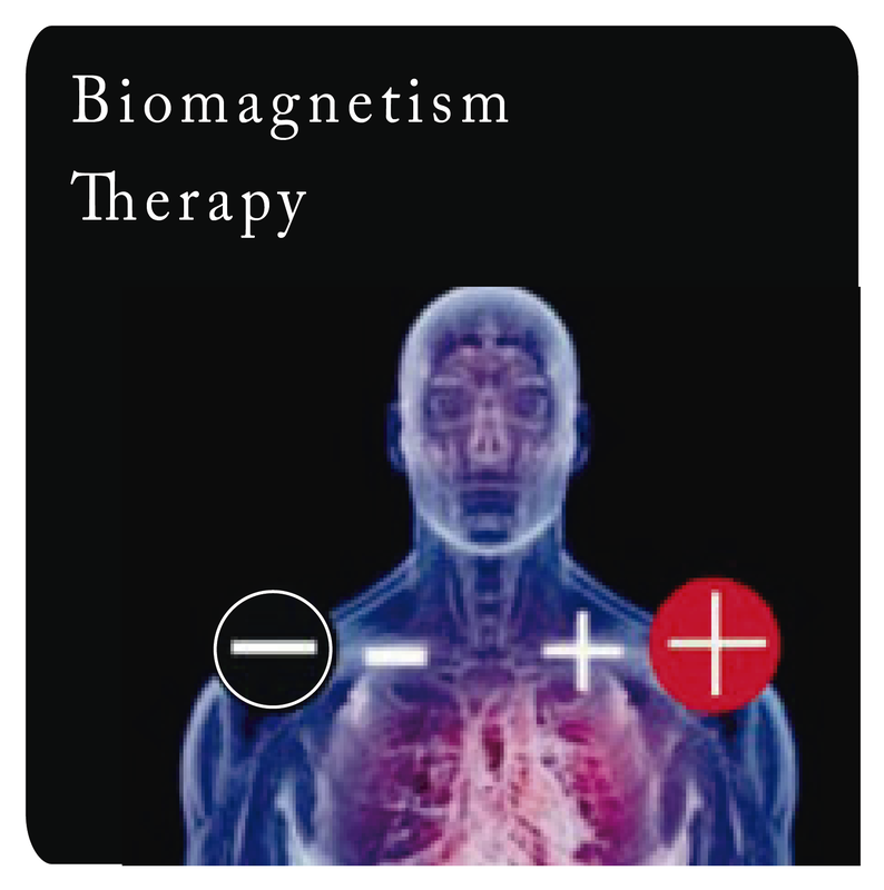 Het biomagnetische paar techniek.
De manier waarop ons lichaam werkt door zijn bio-elektrische energiesysteem in evenwicht te brengen en  de PH van de organen brengt ...